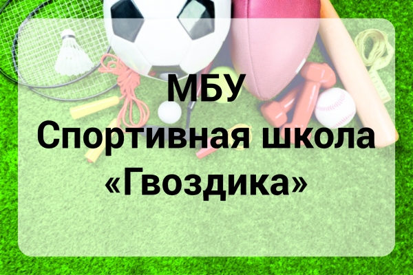 МБУ Спортивная школа "Гвоздика"
